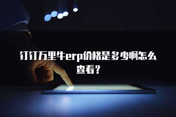钉钉万里牛erp价格是多少啊怎么查看？