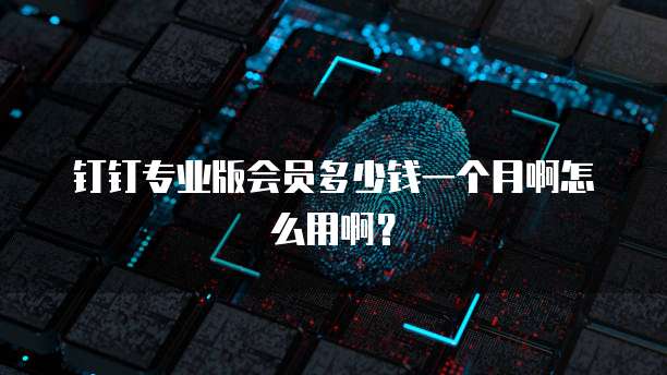 钉钉专业版会员多少钱一个月啊怎么用啊?