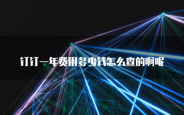 钉钉一年费用多少钱怎么查的啊呢