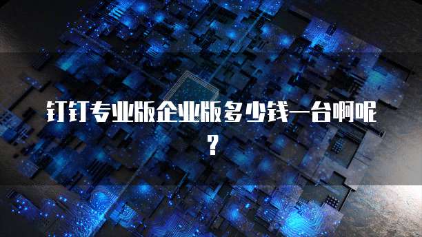 钉钉专业版企业版多少钱一台啊呢?