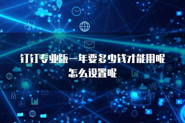 钉钉专业版一年要多少钱才能用呢怎么设置呢