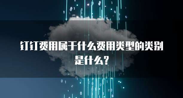 钉钉费用属于什么费用类型的类别是什么?
