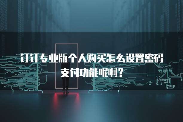 钉钉专业版个人购买怎么设置密码支付功能呢啊?