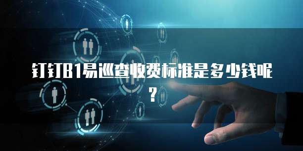 钉钉B1易巡查收费标准是多少钱呢？