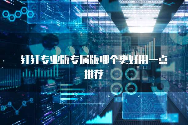 钉钉专业版专属版哪个更好用一点推荐