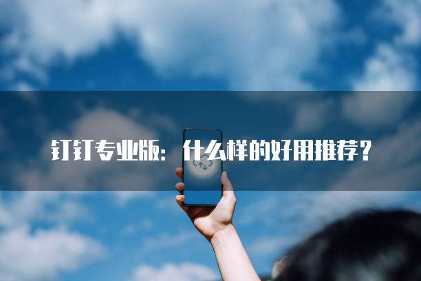 钉钉专业版：什么样的好用推荐？