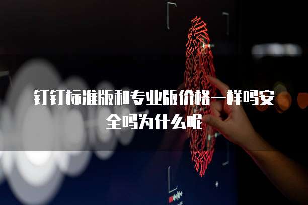 钉钉标准版和专业版价格一样吗安全吗为什么呢