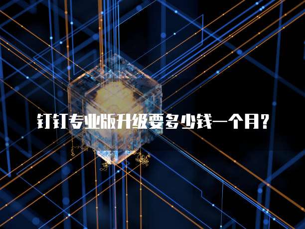 钉钉专业版升级要多少钱一个月?
