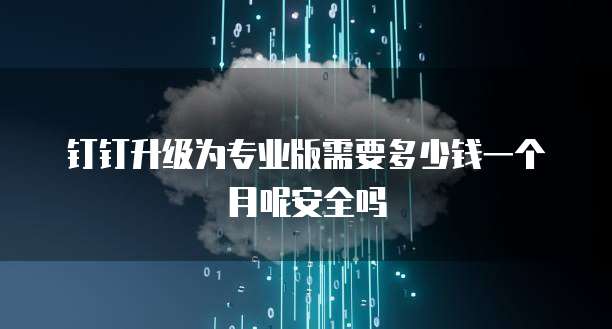钉钉升级为专业版需要多少钱一个月呢安全吗