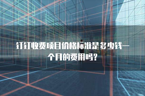 钉钉收费项目价格标准是多少钱一个月的费用吗?