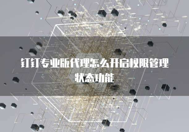 钉钉专业版代理怎么开启权限管理状态功能
