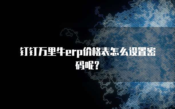 钉钉万里牛erp价格表怎么设置密码呢?