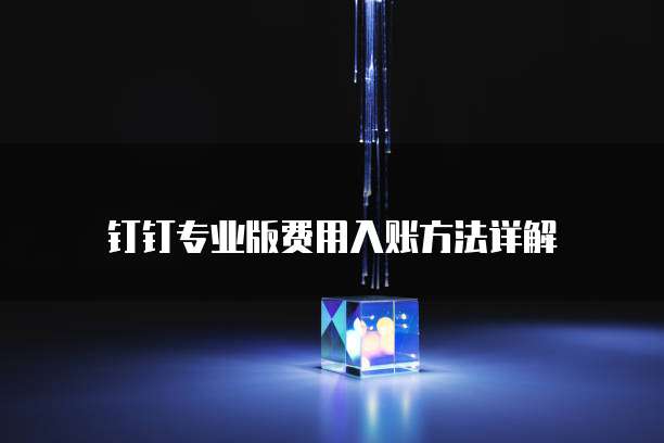 钉钉专业版费用入账方法详解