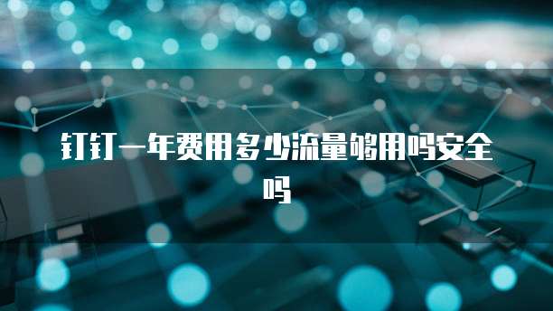 钉钉一年费用多少流量够用吗安全吗