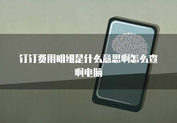 钉钉费用明细是什么意思啊怎么查啊电脑
