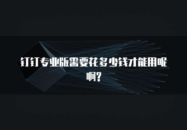 钉钉专业版需要花多少钱才能用呢啊?
