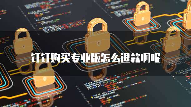 钉钉购买专业版怎么退款啊呢
