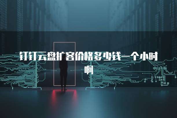 钉钉云盘扩容价格多少钱一个小时啊