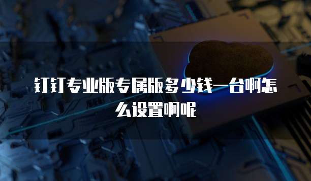 钉钉专业版专属版多少钱一台啊怎么设置啊呢