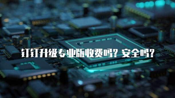 钉钉升级专业版收费吗?安全吗?