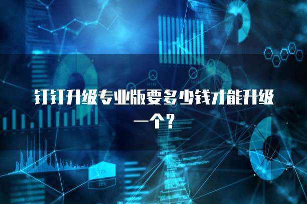钉钉升级专业版要多少钱才能升级一个？