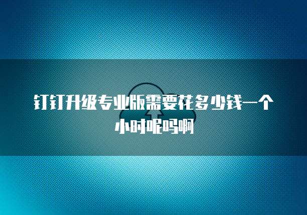 钉钉升级专业版需要花多少钱一个小时呢吗啊
