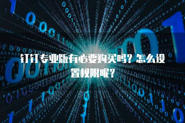 钉钉专业版有必要购买吗?怎么设置权限呢?