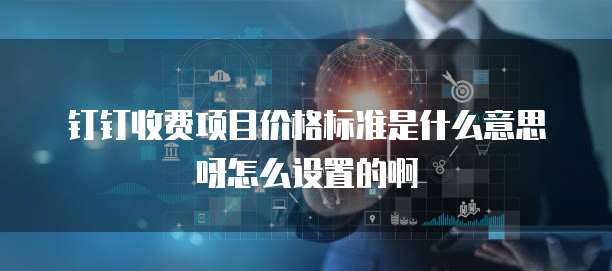 钉钉收费项目价格标准是什么意思呀怎么设置的啊