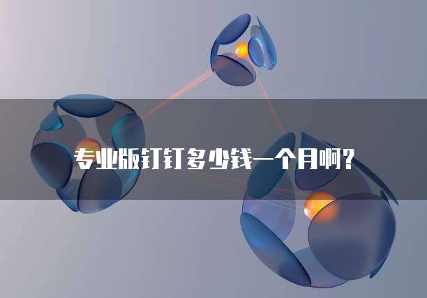 专业版钉钉多少钱一个月啊?