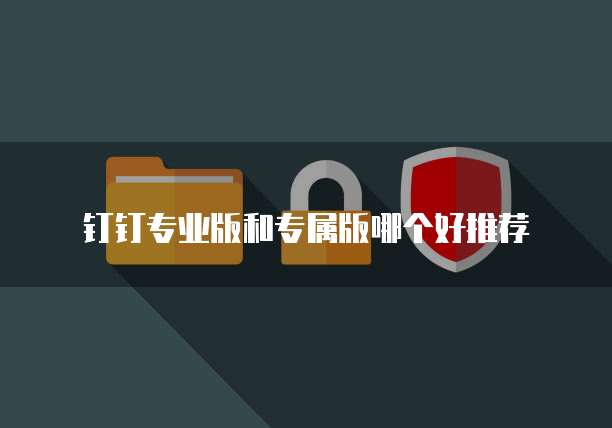 钉钉专业版和专属版哪个好推荐