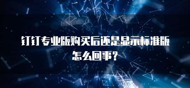 钉钉专业版购买后还是显示标准版怎么回事？