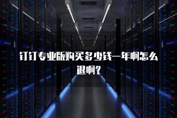 钉钉专业版购买多少钱一年啊怎么退啊?