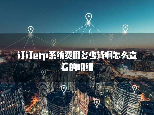 钉钉erp系统费用多少钱啊怎么查看的明细