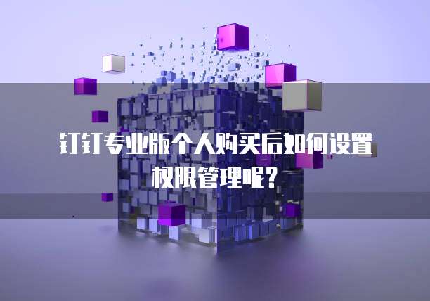 钉钉专业版个人购买后如何设置权限管理呢?