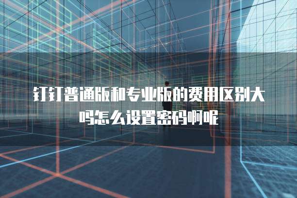 钉钉普通版和专业版的费用区别大吗怎么设置密码啊呢