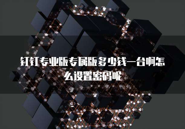 钉钉专业版专属版多少钱一台啊怎么设置密码呢
