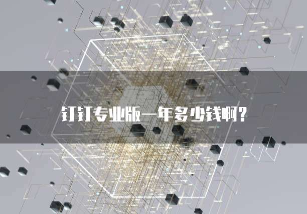 钉钉专业版一年多少钱啊?