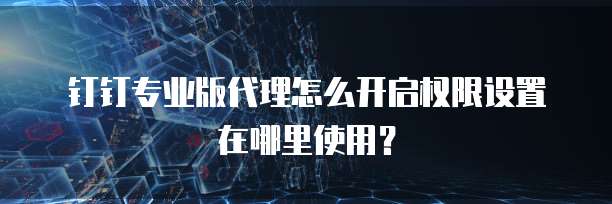 钉钉专业版代理怎么开启权限设置在哪里使用?