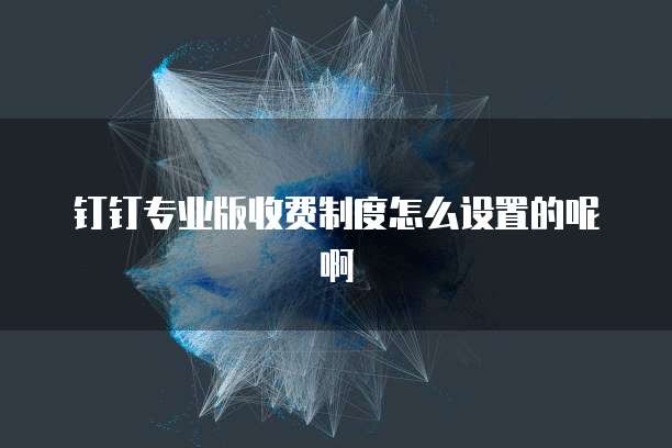 钉钉专业版收费制度怎么设置的呢啊