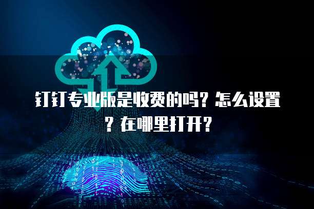 钉钉专业版是收费的吗?怎么设置?在哪里打开?