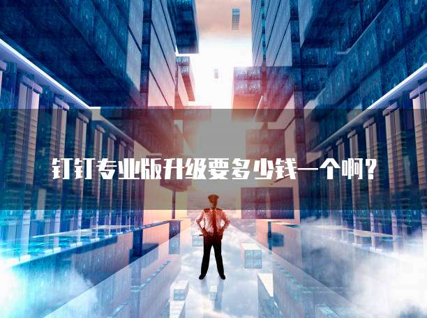 钉钉专业版升级要多少钱一个啊？