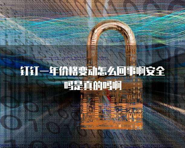 钉钉一年价格变动怎么回事啊安全吗是真的吗啊