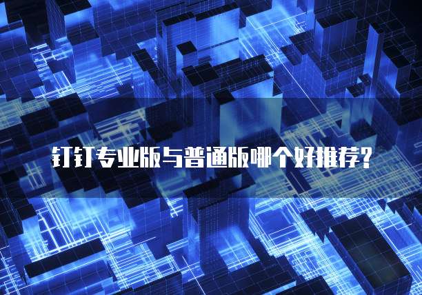 钉钉专业版与普通版哪个好推荐?