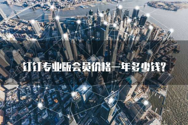 钉钉专业版会员价格一年多少钱?