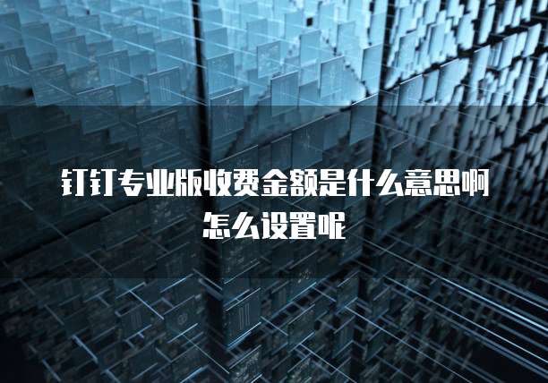 钉钉专业版收费金额是什么意思啊怎么设置呢