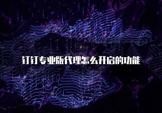 钉钉专业版代理怎么开启的功能