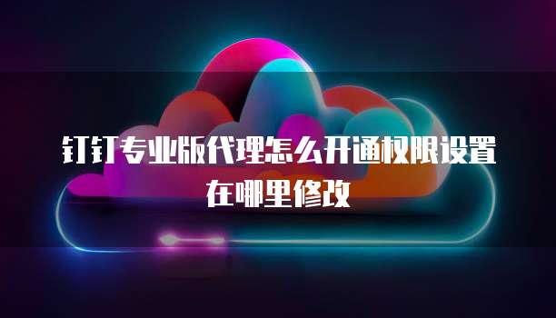 钉钉专业版代理怎么开通权限设置在哪里修改