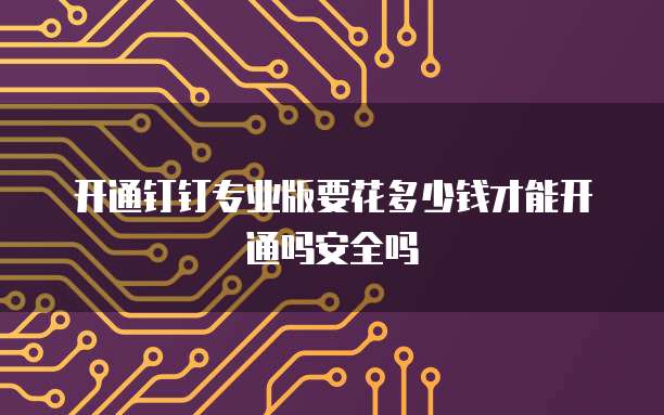 开通钉钉专业版要花多少钱才能开通吗安全吗