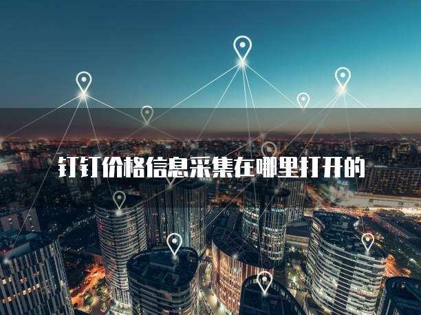 钉钉价格信息采集在哪里打开的