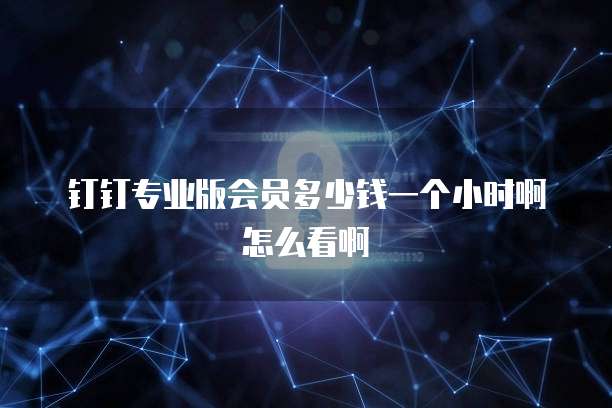 钉钉专业版会员多少钱一个小时啊怎么看啊